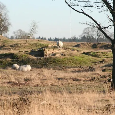 Vakantieverhuur Noordwolde Exterior photo
