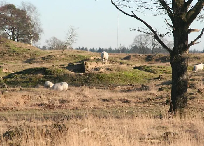 Vakantieverhuur Noordwolde