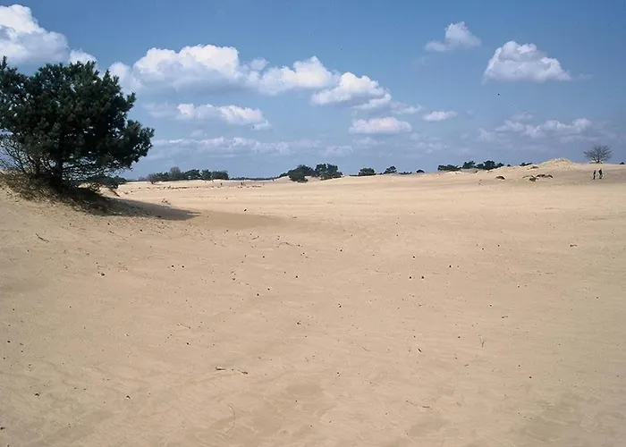 Vakantieverhuur Noordwolde